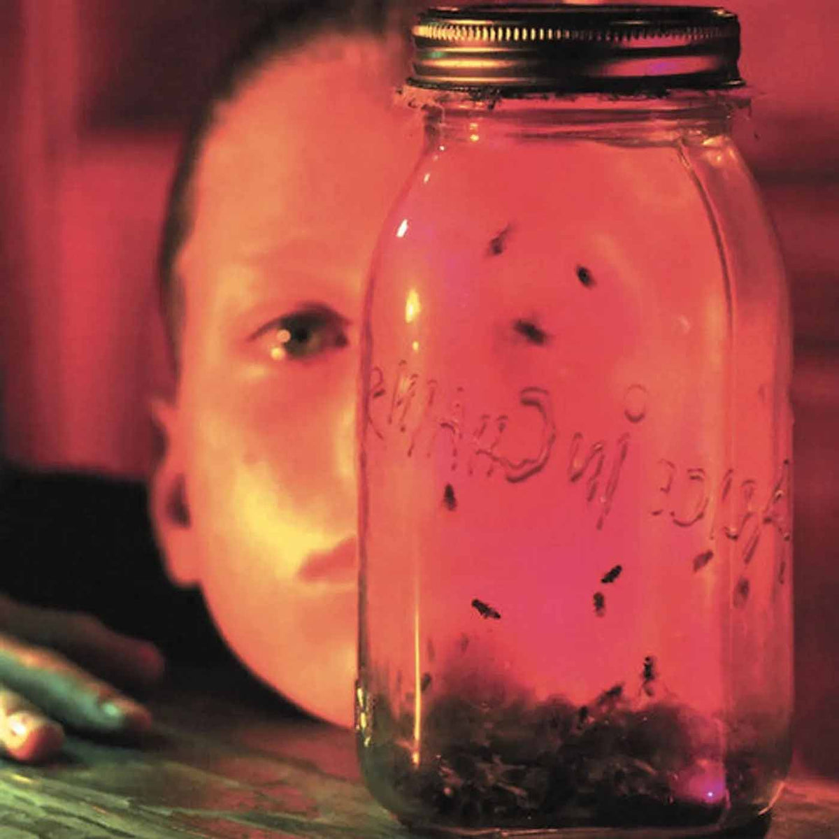 
  
  Alice in Chains - Jar of Flies LP
  
