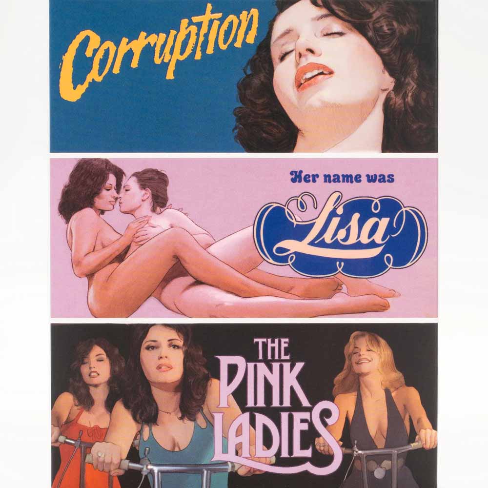 
  
  Corruption / Her Name Was Lisa / The Pink Ladies (+ Slipcover) Blu-Ray (US Import)
  
