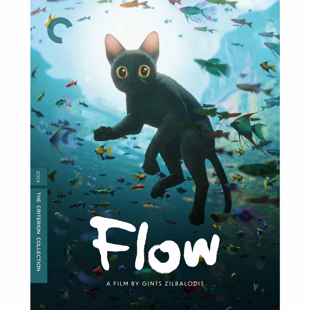 
  
  Flow 4K UHD + Blu-Ray (US Import)
  
