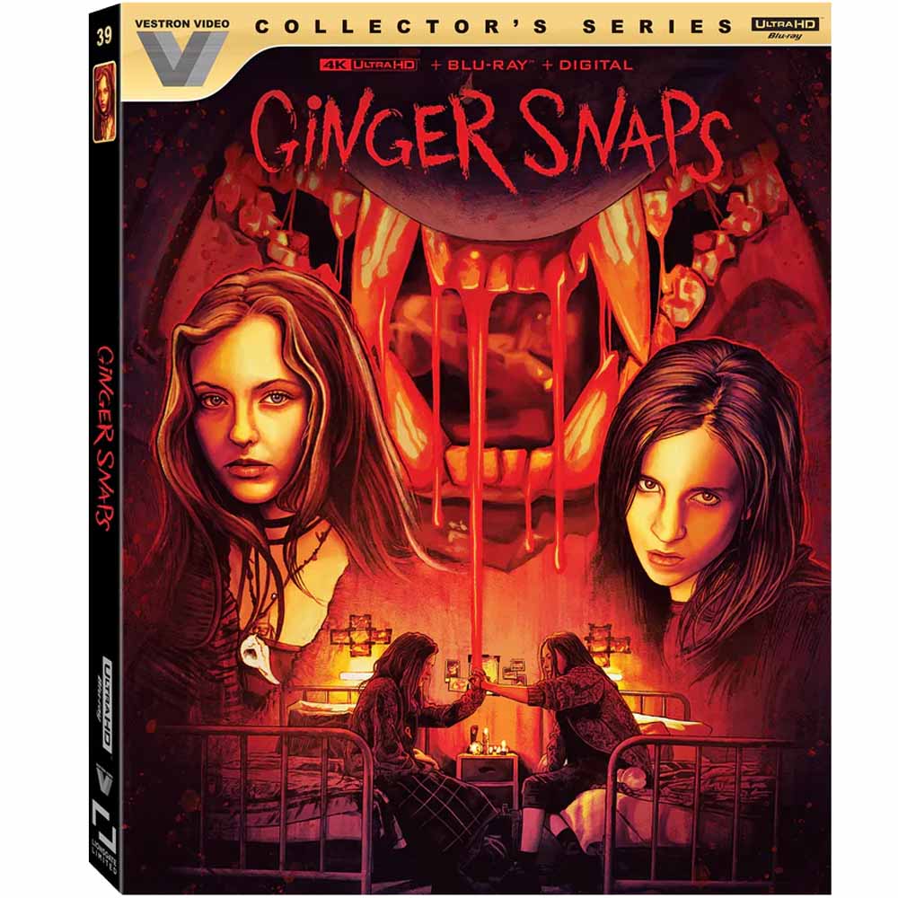 
  
  Ginger Snaps (Collector's Series + Slipcover) 4K UHD + Blu-Ray (US Import)
  
