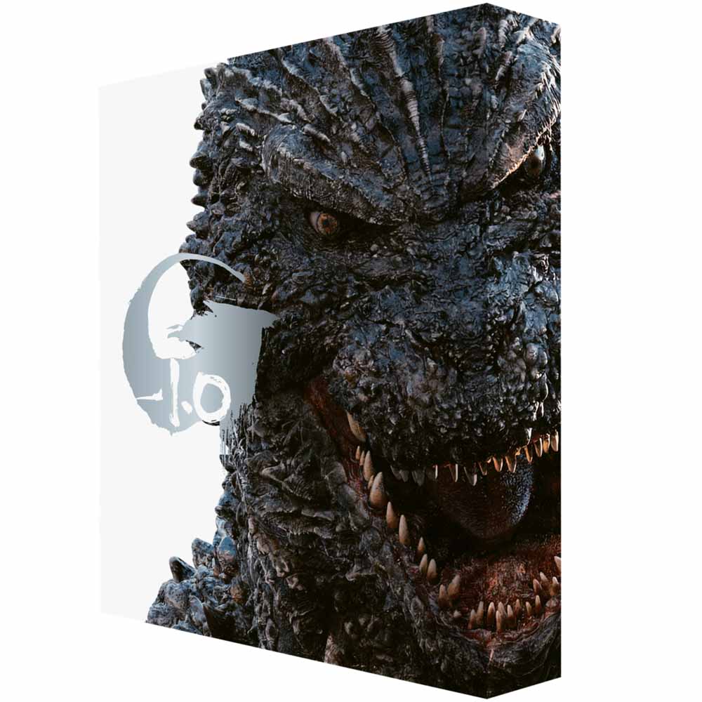 
  
  Godzilla Minus One (Deluxe Collector's Edition) 4K UHD + Blu-Ray Box Set (UK Import)
  
