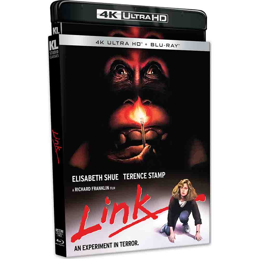 
  
  Link 4K UHD + Blu-Ray (US Import)
  
