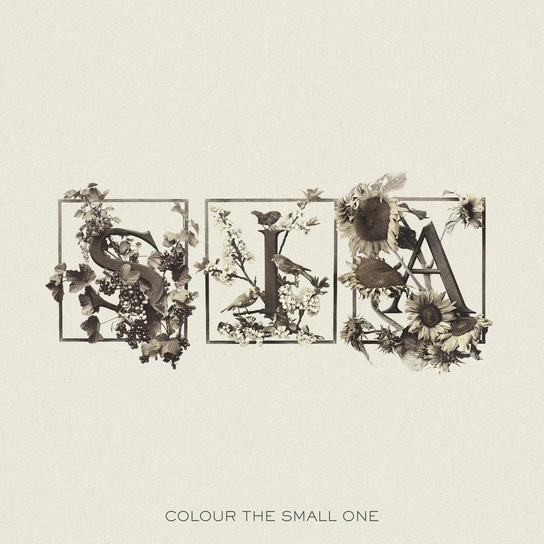 
  
  SIA - Color the Small One (White &amp; Transparent) RSD 2024 2 LP Vinyl
  
