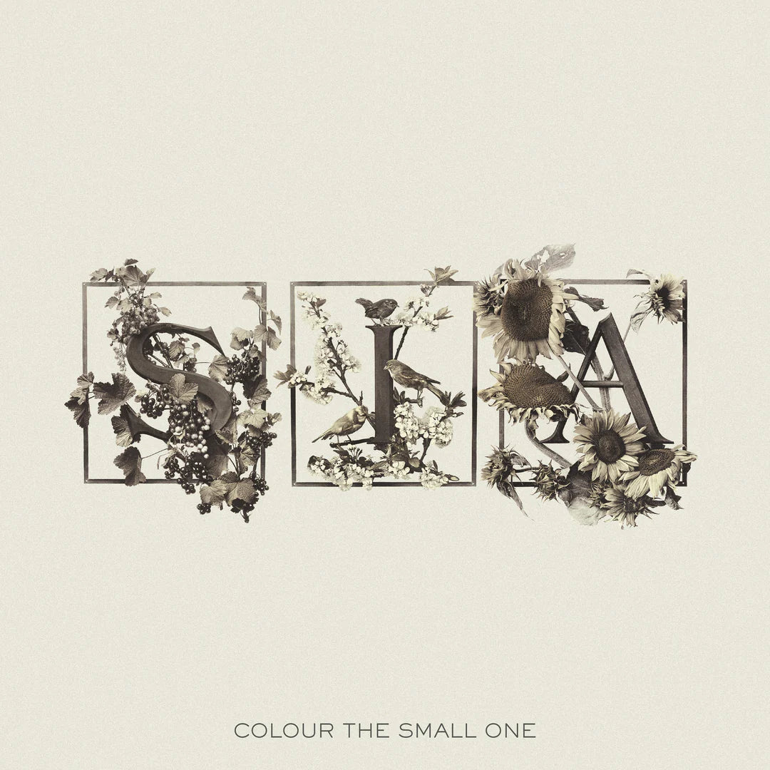 SIA - Colour the Small One (White & Transparent)  RSD 2024 2 LP Vinilo