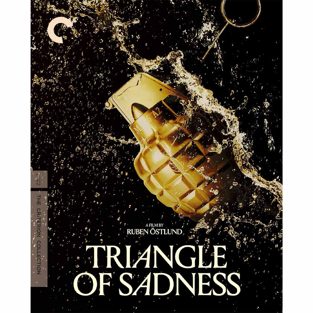 
  
  Triangle of Sadness 4K UHD + Blu-Ray (US Import)
  
