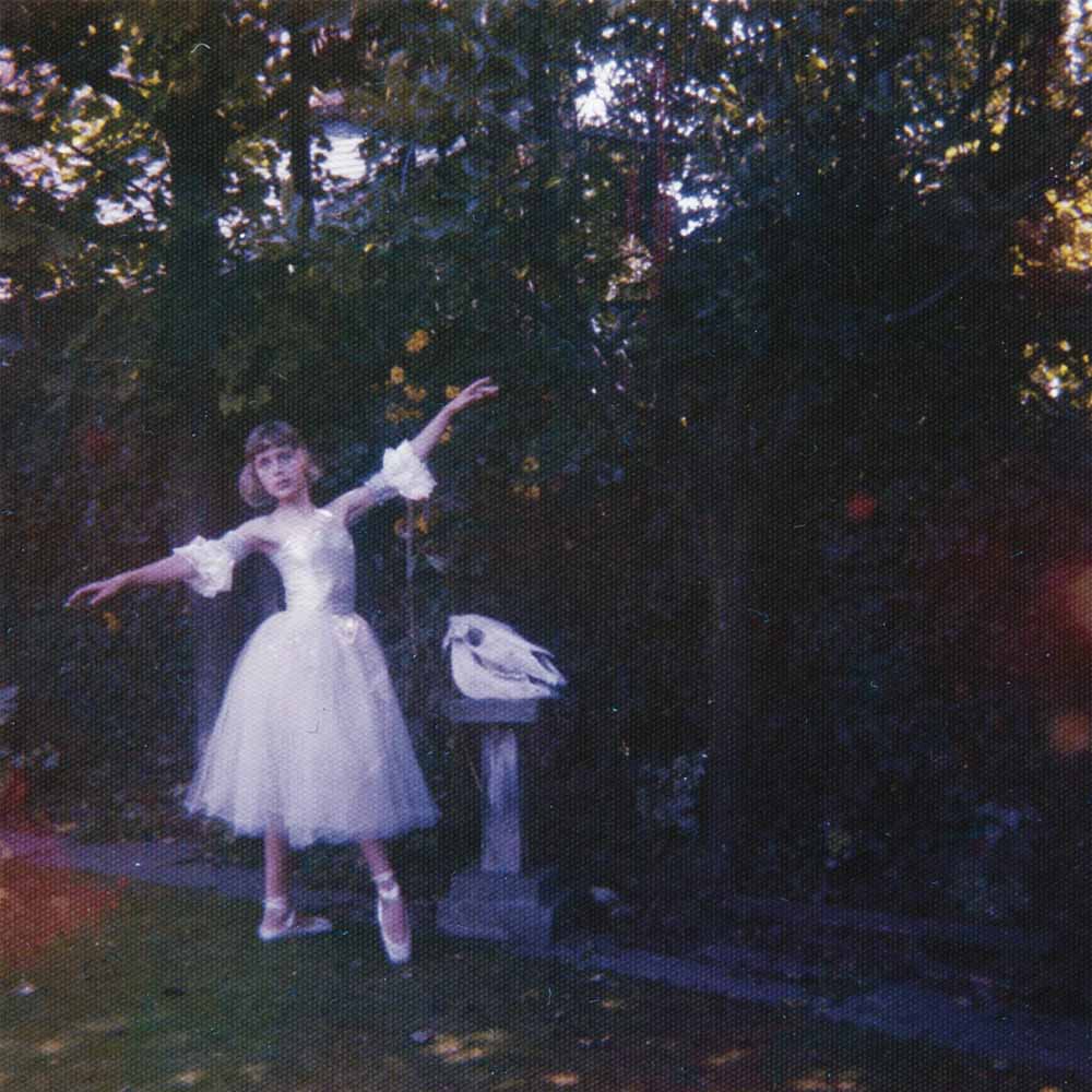 
  
  Wolf Alice - Visions of a Life (US 2017) Mint Condition / Sealed 2 LP Vinyl
  
